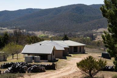Farm For Sale - NSW - Numeralla - 2630 - Numeralla Valley ‘Rockview’ 120 acres with 5 bedroom house  (Image 2)