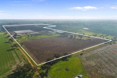 Farm For Sale - VIC -  Bridgewater - 3516 - Large-Scale Commercial Egg Farm Offered with Vacant Possession  (Image 2)