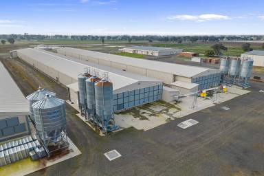 Farm For Sale - VIC -  Bridgewater - 3516 - Large-Scale Commercial Egg Farm Offered with Vacant Possession  (Image 2)