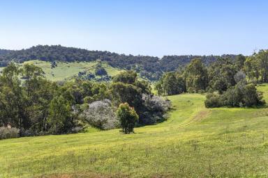 Farm For Sale - WA - Lower Chittering - 6084 - Chittering Valley Potential Plus  (Image 2)