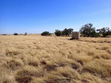 Farm Expressions of Interest - QLD - HUGHENDEN - 4821 - PRIME QUALITY BACKGROUNDING & FATTENING COUNTRY. MOONBY STATION,  10312ha  (Image 2)
