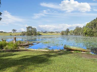 Farm For Sale - NSW - Nambucca Heads - 2448 - Lake Frontage - This Is Absolutely Top Shelf!  (Image 2)