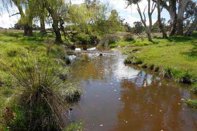 Farm For Sale - NSW - Yass - 2582 - Oakdale  (Image 2)