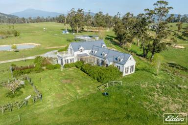 Farm Sold - TAS - Bangor - 7267 - UNDER OFFER - "TRULY BREATHTAKING" this outstanding hobby farm on 10.5 hectares of pasture with river boundary.  (Image 2)