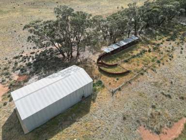 Farm Sold - NSW - West Wyalong - 2671 - Glen Iris - 10km from Town - 1200 Acres  (Image 2)