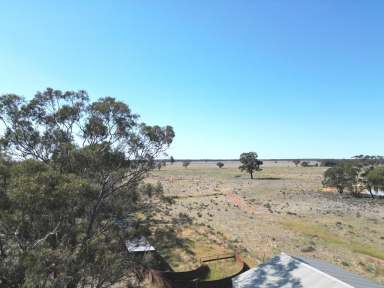 Farm Sold - NSW - West Wyalong - 2671 - Glen Iris - 10km from Town - 1200 Acres  (Image 2)