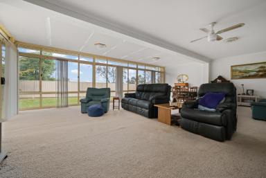 Farm For Sale - NSW - Budgee Budgee - 2850 - SMALL FARM WITH THE LOT!  (Image 2)