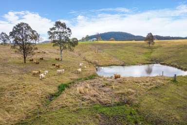 Farm For Sale - NSW - Stroud - 2425 - Recreational River Frontage  (Image 2)