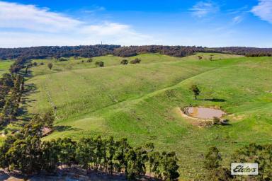 Farm For Sale - VIC - Beaufort - 3373 - Picturesque & Well Positioned Mixed Farm - 310 Acres  (Image 2)