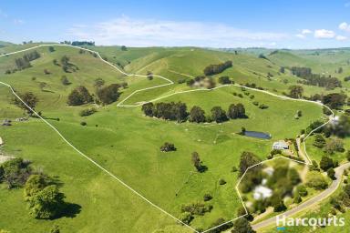 Farm Sold - VIC - Poowong East - 3988 - 110 Acres - Picturesque Country Estate  (Image 2)