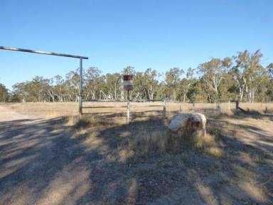 Farm For Sale - QLD - Kogan - 4406 - Vacant block - great asset to own  (Image 2)