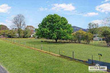 Farm Sold - NSW - Tenterfield - 2372 - Developer / Renovators Opportunity.....  (Image 2)