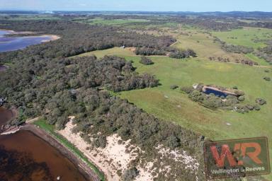 Farm Sold - WA - Youngs Siding - 6330 - WATER, TREES, CATTLE, PRIVACY - 64HA (160ac)  (Image 2)
