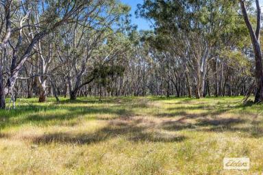 Farm Sold - VIC - Navarre - 3384 - Affordable Country Retreat  (Image 2)