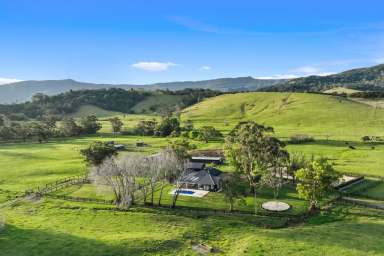 Farm Sold - NSW - Toolijooa - 2534 - Luxurious Farm with Ocean Views & Equine Facilities  (Image 2)