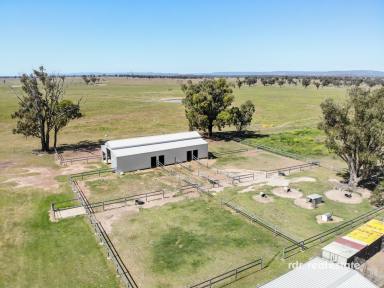 Farm For Sale - NSW - Inverell - 2360 - HORSE FACILITIES, SPACIOUS HOME & SHEDS!  (Image 2)