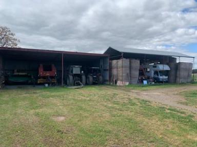 Farm For Sale - VIC - Rochester - 3561 - IDEAL PRODUCTION BLOCK  (Image 2)