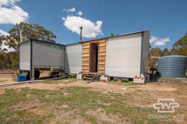 Farm Sold - NSW - Torrington - 2371 - Ideal Lifestyle Property  (Image 2)