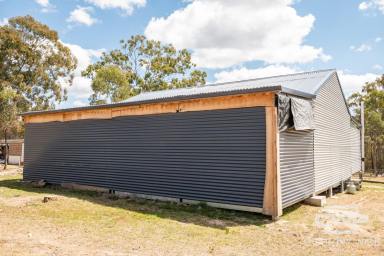 Farm Sold - NSW - Torrington - 2371 - Ideal Lifestyle Property  (Image 2)