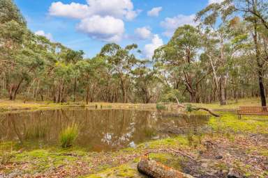 Farm Sold - VIC - Newtown - 3351 - Escape To Nature  (Image 2)