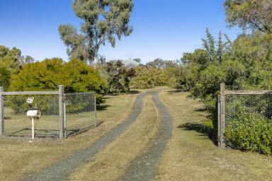 Farm For Sale - QLD - Biddeston - 4401 - A Unique Country Lifestyle or Investment Opportunity.  (Image 2)