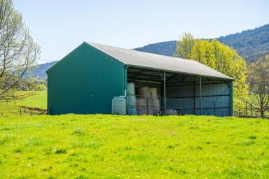 Farm Sold - VIC - Dederang - 3691 - "The Point"  (Image 2)
