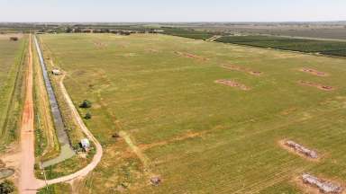 Farm For Sale - NSW - Stanbridge - 2705 - CLEARED ALLOTMENT WITH POWER & WATER ACCESS  (Image 2)