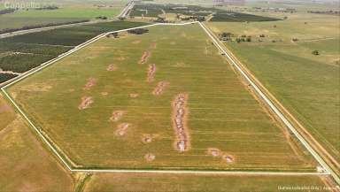 Farm For Sale - NSW - Stanbridge - 2705 - CLEARED ALLOTMENT WITH POWER & WATER ACCESS  (Image 2)