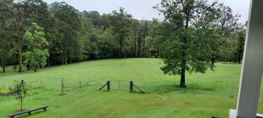 Farm For Sale - NSW - Kyogle - 2474 - LOWER EDEN BEAUTY  (Image 2)