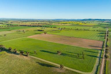 Farm Sold - NSW - Cowra - 2794 - 140ACRES* PRIME CROPPING COWRA COUNTRY!  (Image 2)