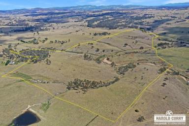 Farm Sold - NSW - Tenterfield - 2372 - 'Donoghues' - Water Security & Location.....  (Image 2)