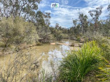 Farm For Sale - NSW - Inverell - 2360 - NATURE BECKONS!  (Image 2)