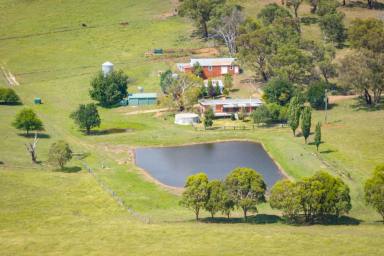Farm For Sale - NSW - Brewongle - 2795 - “Don Lee” Fertile Grazing Country on Bathurst’s Doorstep  (Image 2)