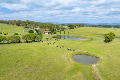 Farm For Sale - NSW - Brewongle - 2795 - “Don Lee” Fertile Grazing Country on Bathurst’s Doorstep  (Image 2)