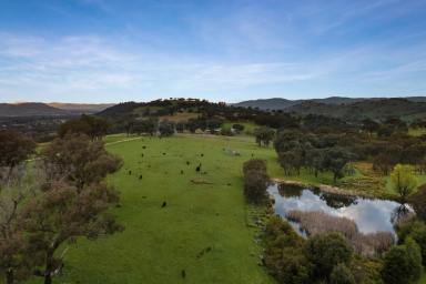 Farm Sold - VIC - West Wodonga - 3690 - City lights and Rural landscapes  (Image 2)