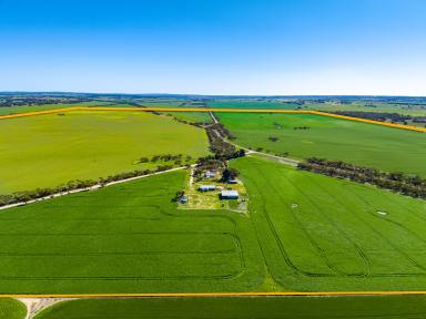 Farm Sold - SA - Coonalpyn - 5265 - 'Lamshed's' - 307 hectares renowned for production & bound for progress on 5 sections.  (Image 2)