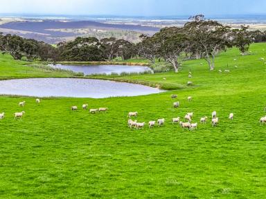 Farm Sold - SA - Ashbourne - 5157 - 'MARAPANA' : Graze, breed, feed or ride - 5 freehold titles on 436ha geared for large scale farming.  (Image 2)