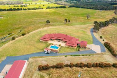 Farm For Sale - NSW - Wagga Wagga - 2650 - Wagga's Finest Country Estate  (Image 2)