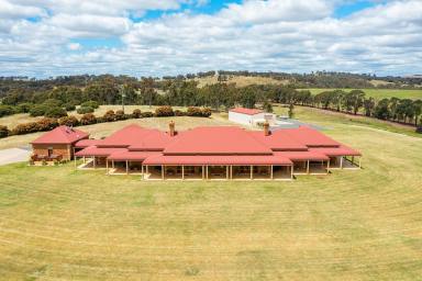 Farm For Sale - NSW - Wagga Wagga - 2650 - Wagga's Finest Country Estate  (Image 2)