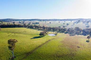 Farm Sold - NSW - Tarcutta - 2652 - Turn Key Add-On  (Image 2)