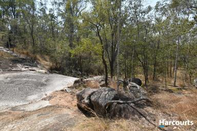 Farm Sold - QLD - Eureka - 4660 - 112.6HA/278 ACRES OF NATURAL BEAUTY AND CABIN  (Image 2)