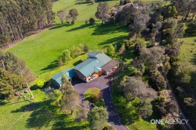Farm For Sale - TAS - Somerset - 7322 - Now THIS is Country Living!  (Image 2)