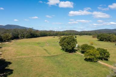 Farm Sold - NSW - Port Macquarie - 2444 - Riverview - Camden Haven River Frontage situated on the door step of Kendall  (Image 2)