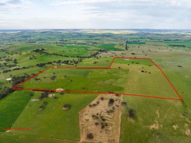 Farm Sold - NSW - Boorowa - 2586 - North-Facing Productive Farm with Water  (Image 2)