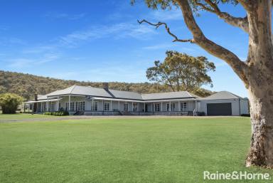 Farm For Sale - NSW - Back Forest - 2535 - 54 Bailleul Lane, Back Forest  (Image 2)