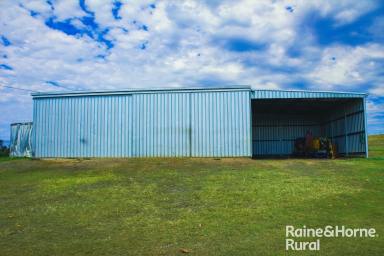 Farm For Sale - NSW - Woodview - 2470 - 'Tilora Downs'  (Image 2)