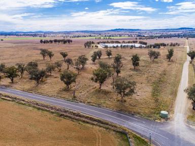 Farm For Sale - NSW - Appleby - 2340 - Productive Peel River Broiler Operation  (Image 2)