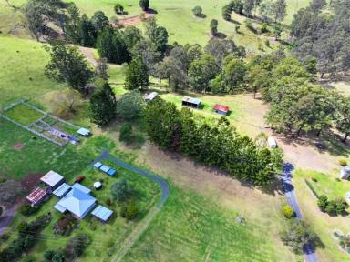 Farm For Sale - NSW - Woodenbong - 2476 - "CLEARVIEW" WOODENBONG NSW  (Image 2)