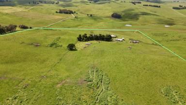 Farm Sold - VIC - Henty - 3312 - Great value with plenty of potential  (Image 2)