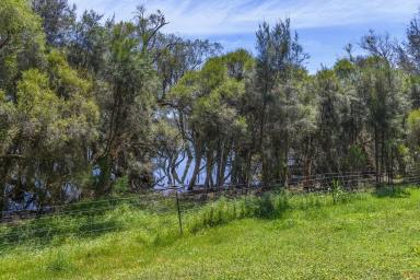 Farm For Sale - WA - Bindoon - 6502 - Out of the box opportunity  (Image 2)